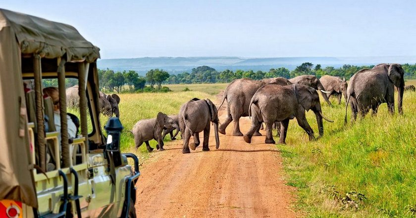 Kenia Classic