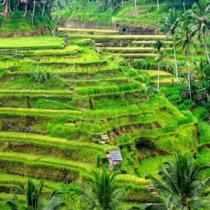 Bali-02