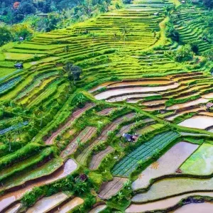 Bali-13