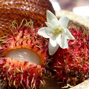 Bali-20