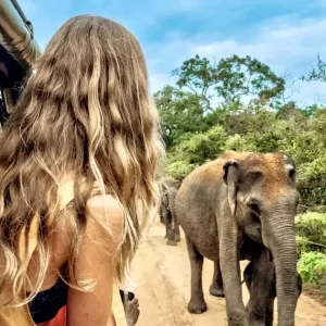 Sri-Lanka11