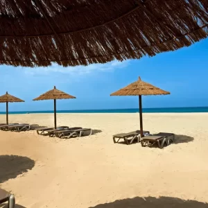 Tortuga-Beach09