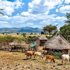 aithiopia02