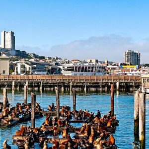 california-15