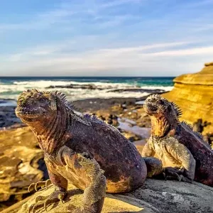 galapagos04