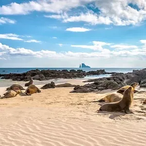 galapagos17