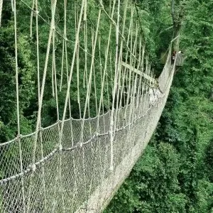 gkana04