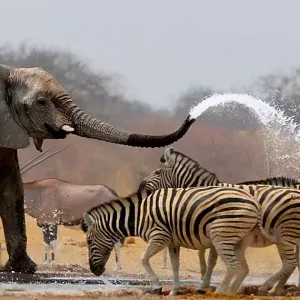 himba02