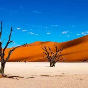 himba08