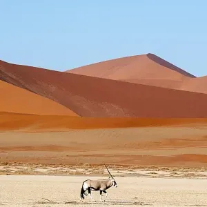 himba15