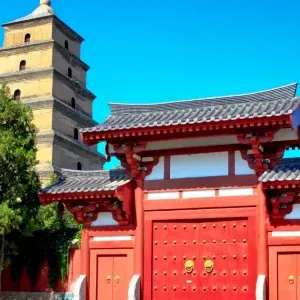 kina-13