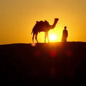 erimos-13