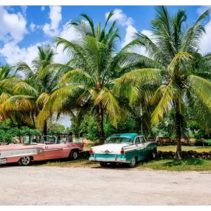havana-14