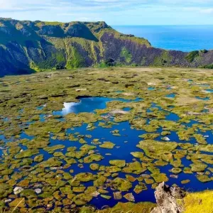 rupanui_16
