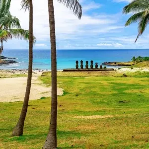 rupanui_20