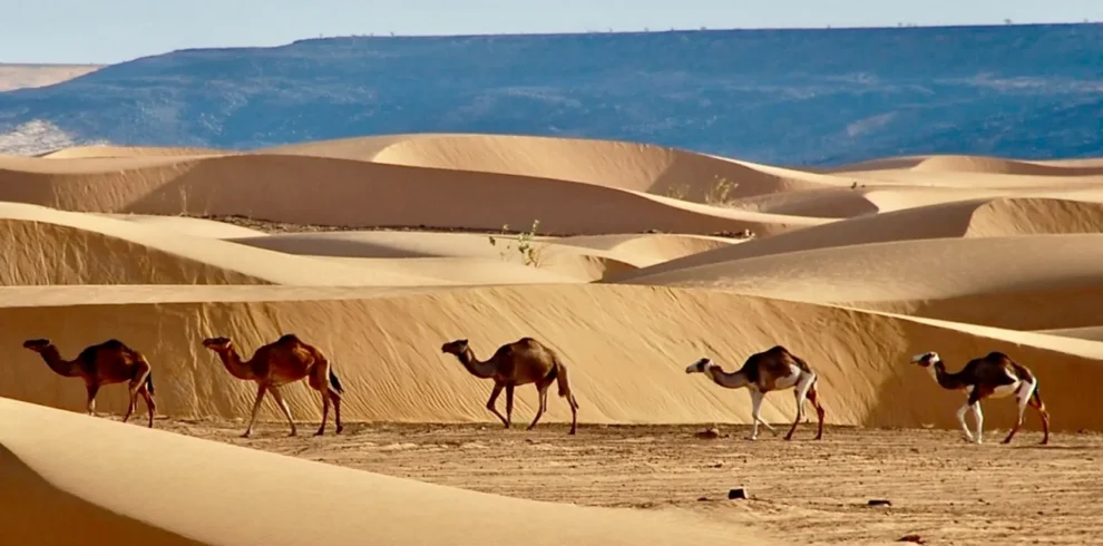 Mauritania